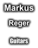 Markus Reger Guitars